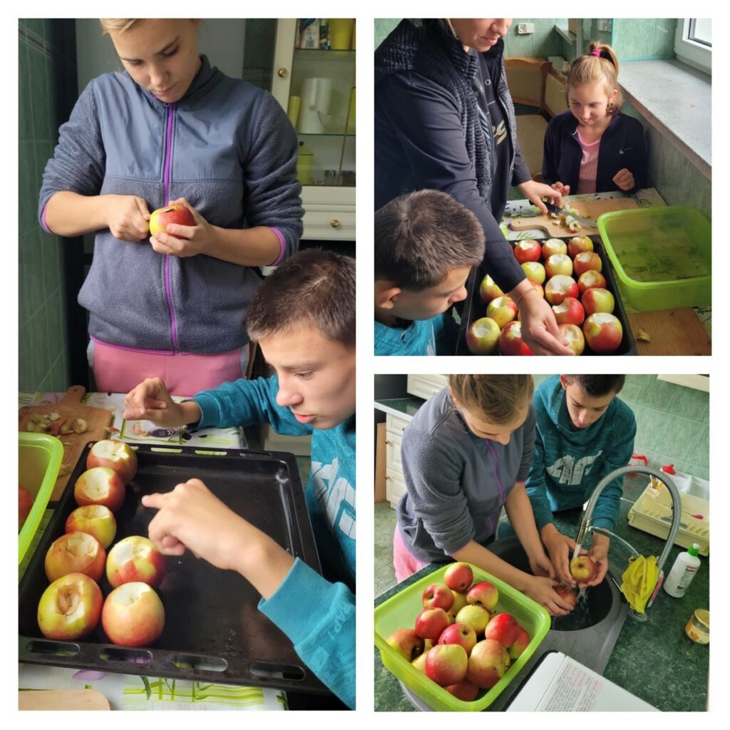 „Dzień jabłka” – zajęcia edukacyjne
